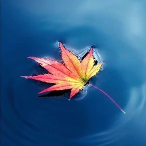 Meet your Posher, Alexander